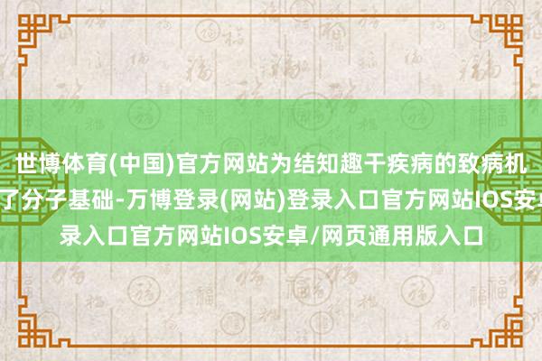 世博体育(中国)官方网站为结知趣干疾病的致病机理及药物竖立提供了分子基础-万博登录(网站)登录入口官方网站IOS安卓/网页通用版入口