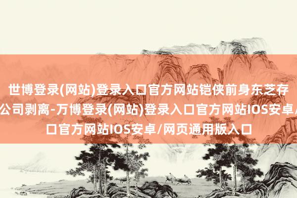 世博登录(网站)登录入口官方网站铠侠前身东芝存储器集团从东芝公司剥离-万博登录(网站)登录入口官方网站IOS安卓/网页通用版入口