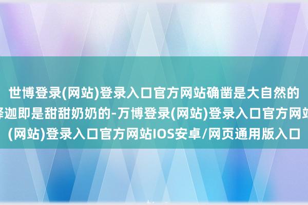 世博登录(网站)登录入口官方网站确凿是大自然的自然冰淇淋！一般的释迦即是甜甜奶奶的-万博登录(网站)登录入口官方网站IOS安卓/网页通用版入口