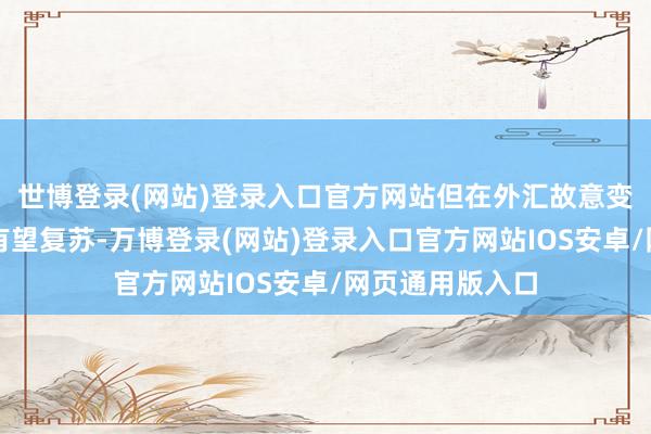 世博登录(网站)登录入口官方网站但在外汇故意变动下本年盈利有望复苏-万博登录(网站)登录入口官方网站IOS安卓/网页通用版入口
