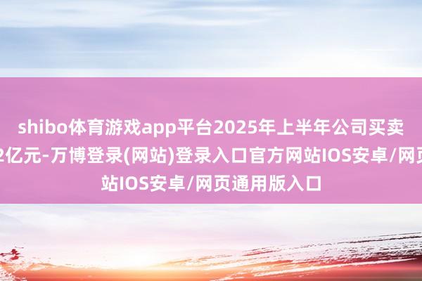 shibo体育游戏app平台2025年上半年公司买卖收入为56.22亿元-万博登录(网站)登录入口官方网站IOS安卓/网页通用版入口