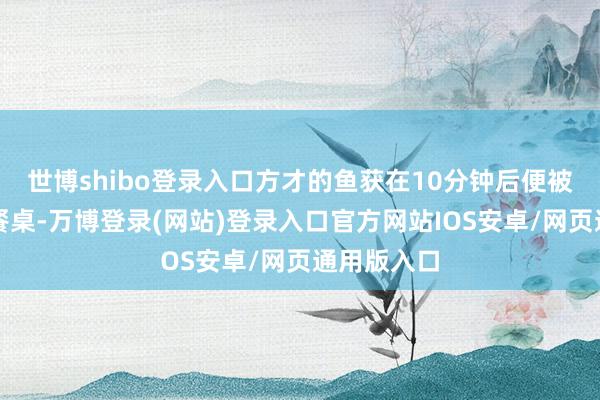 世博shibo登录入口方才的鱼获在10分钟后便被端上门客餐桌-万博登录(网站)登录入口官方网站IOS安卓/网页通用版入口