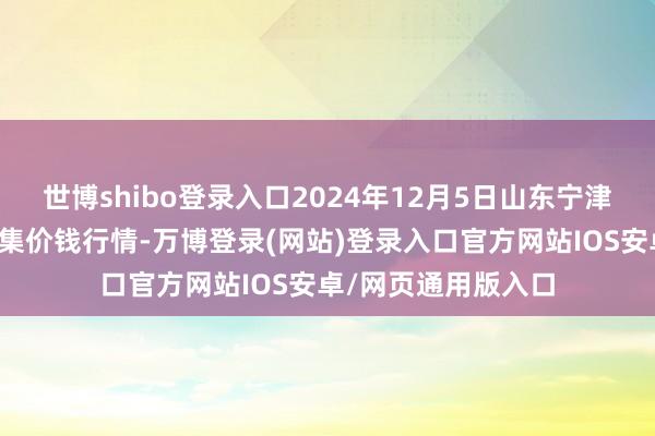 世博shibo登录入口2024年12月5日山东宁津县东崔蔬菜批发市集价钱行情-万博登录(网站)登录入口官方网站IOS安卓/网页通用版入口
